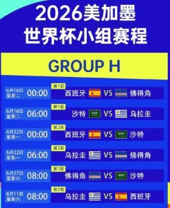 梅西世界杯